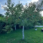 Na Kovárně