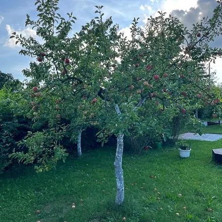 Na Kovarne