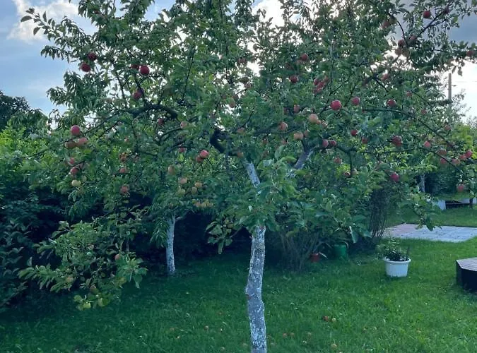 Na Kovarne